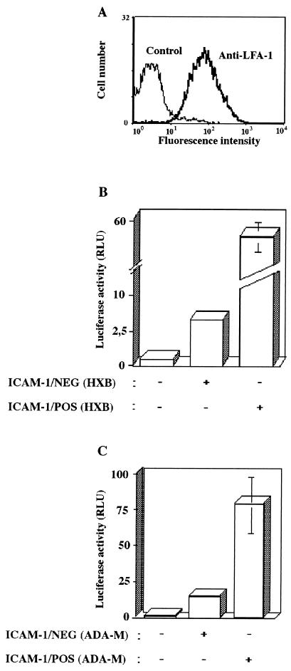 FIG. 1.