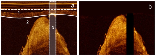 Fig. 3