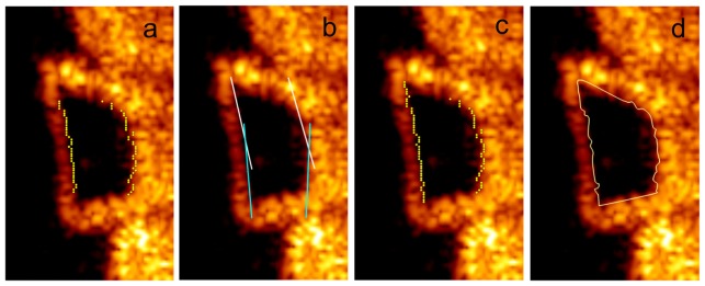 Fig. 8