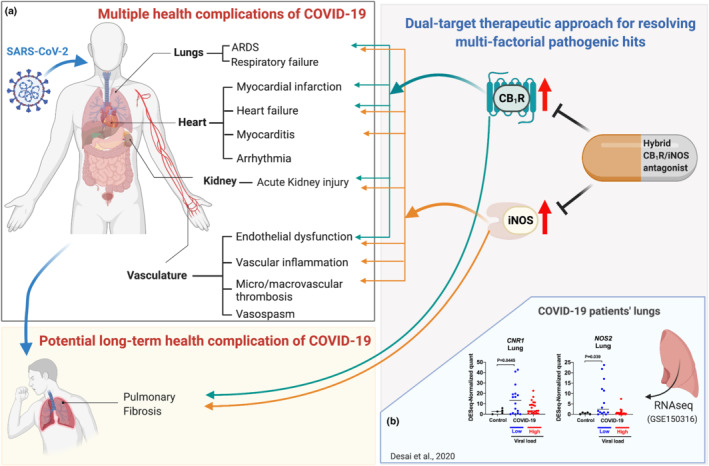 FIGURE 1