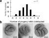 FIG. 2.