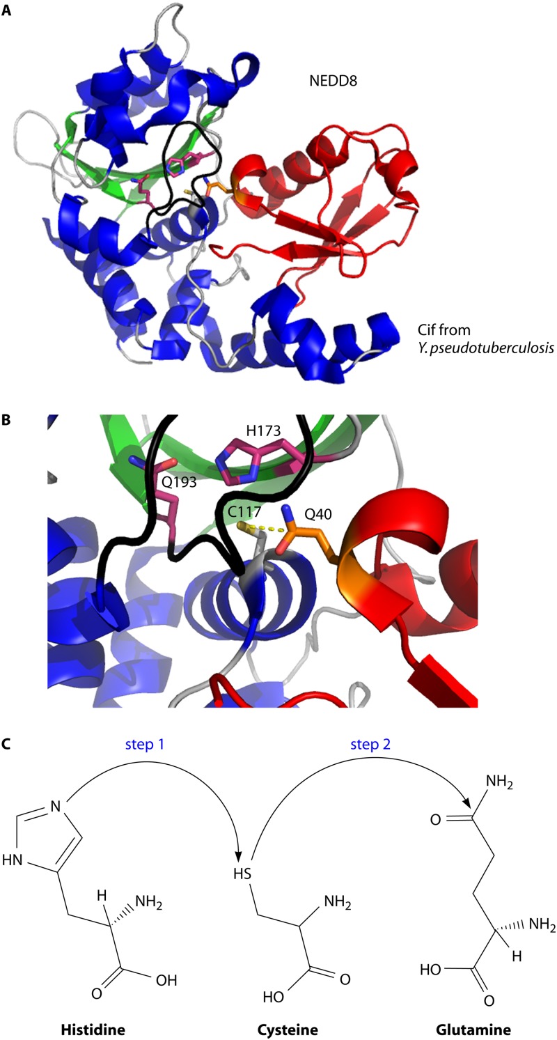 Fig 7