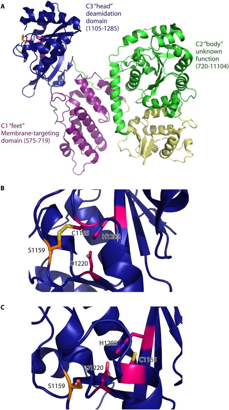 Fig 3