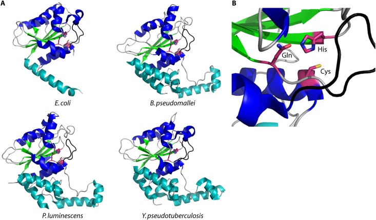 Fig 6