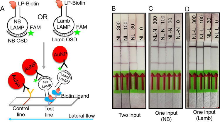 FIG 6