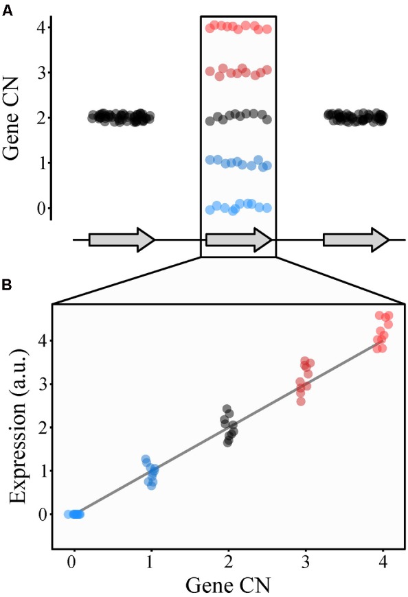 FIGURE 3