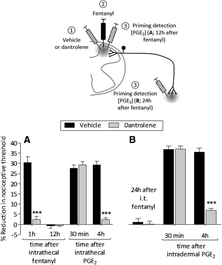 Figure 10.