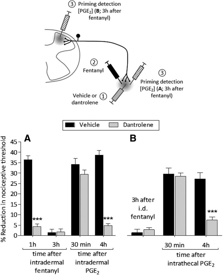 Figure 11.