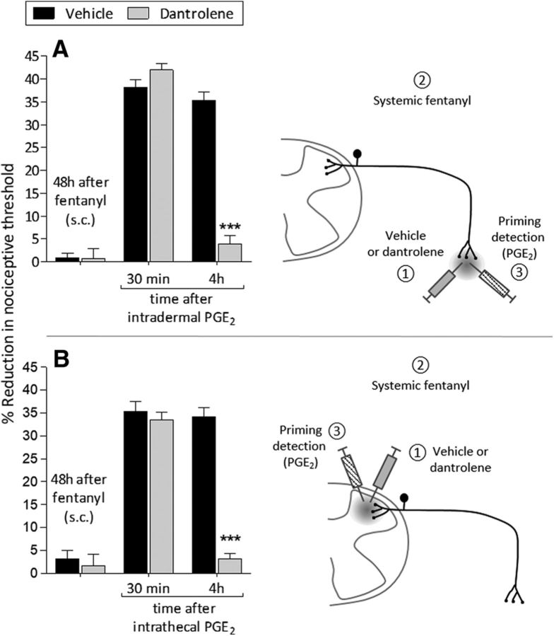 Figure 12.