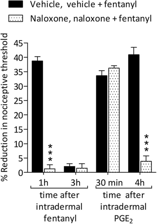 Figure 14.