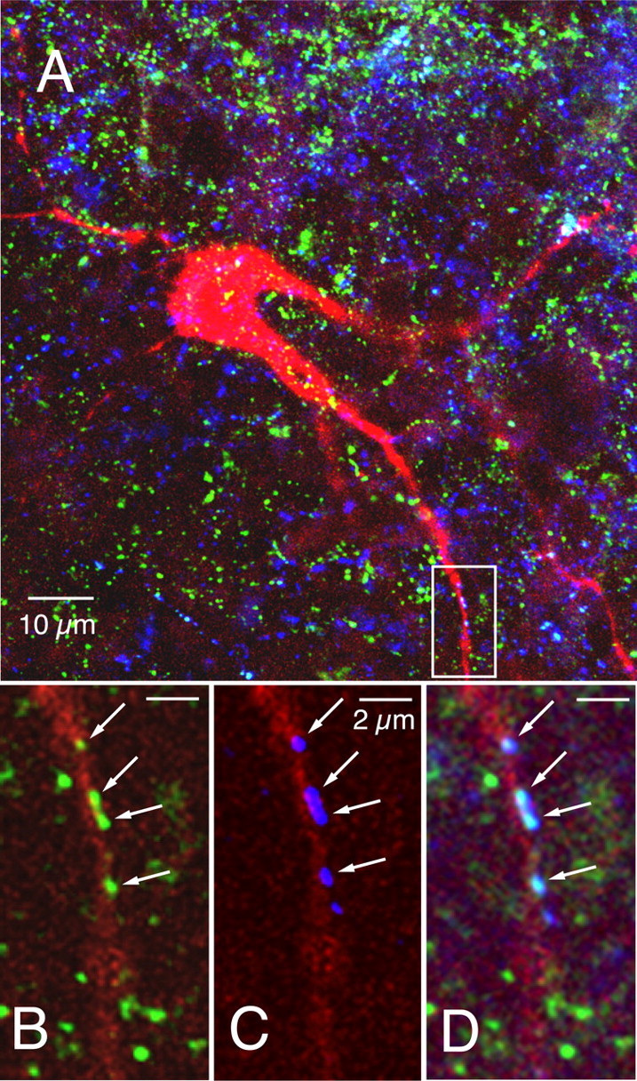 Figure 4.