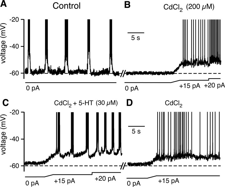 Figure 14.