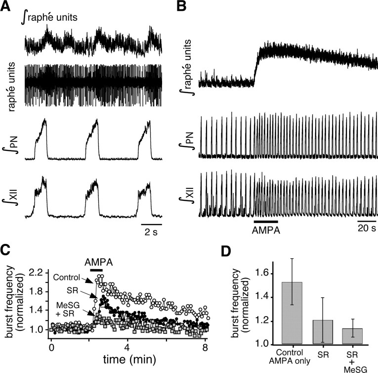 Figure 11.