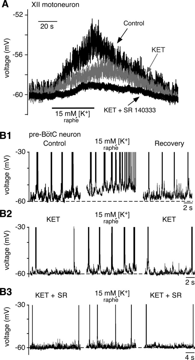 Figure 12.