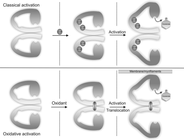 FIG. 6.