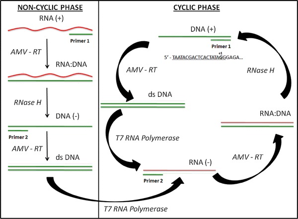 Fig. 1