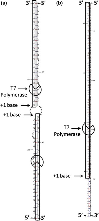 Fig. 5