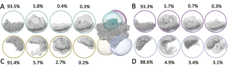 Fig. 2