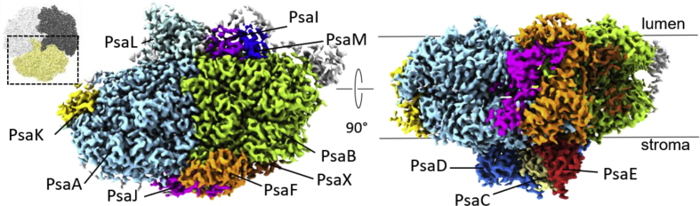 Fig. 1