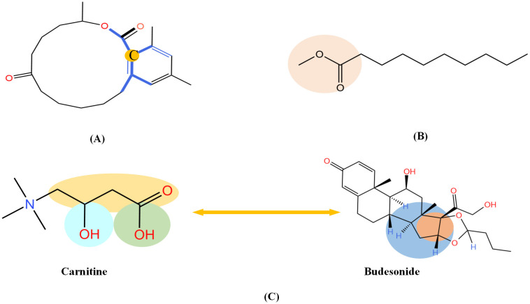 Fig 14