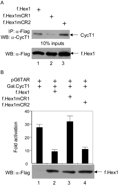 Figure 5