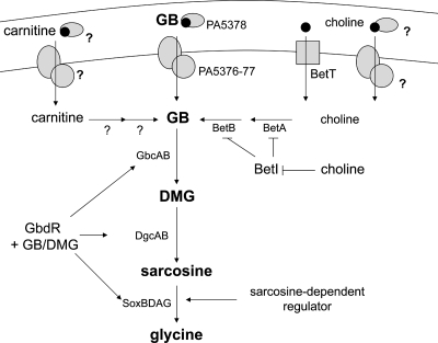 FIG. 6.