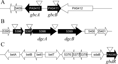 FIG. 2.