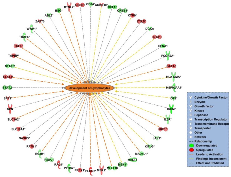 Fig 11