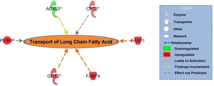 Fig 12