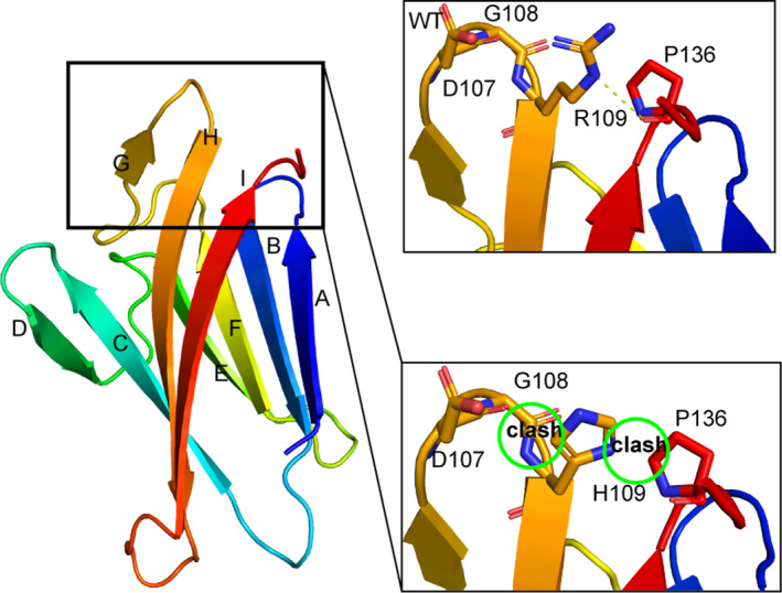 FIGURE 3