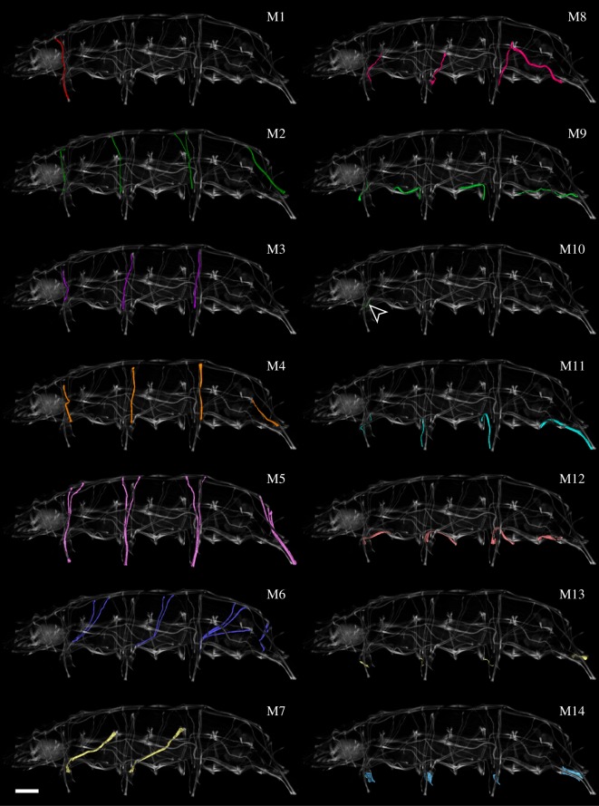 Figure 3.