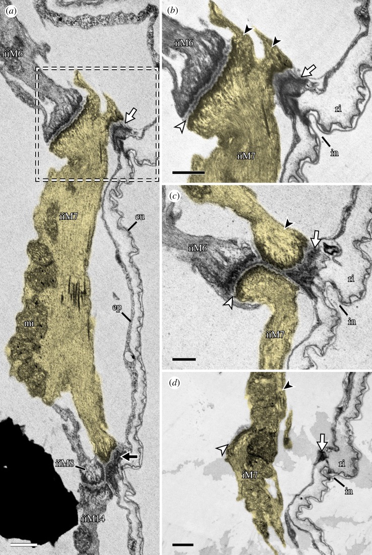 Figure 10.