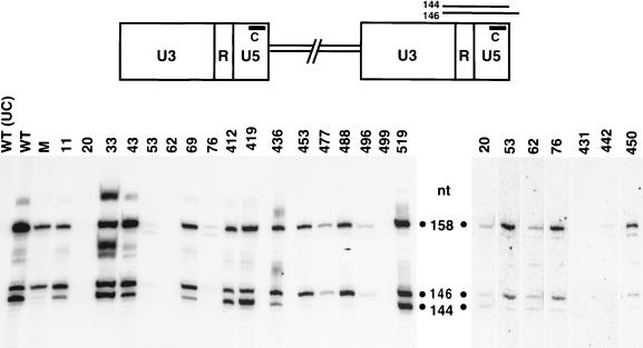 FIG. 8