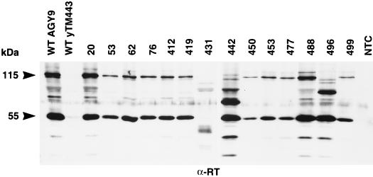 FIG. 6