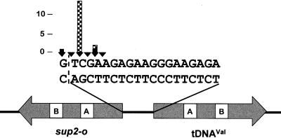 FIG. 3