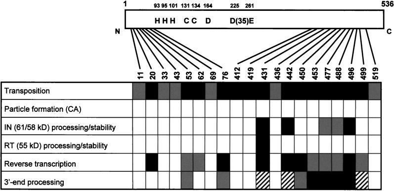 FIG. 9