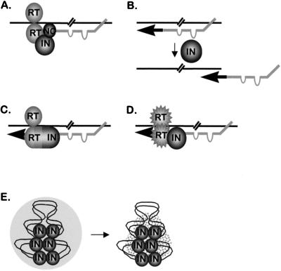 FIG. 10