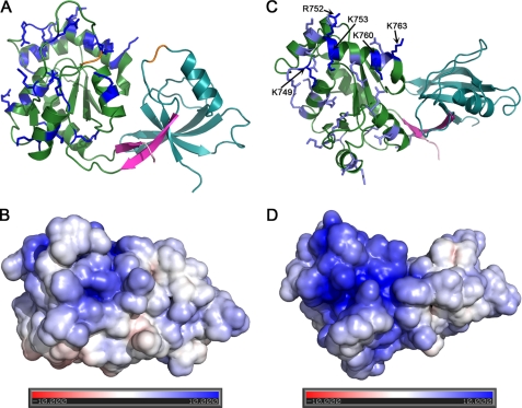 FIGURE 4.