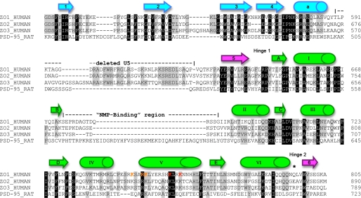 FIGURE 2.