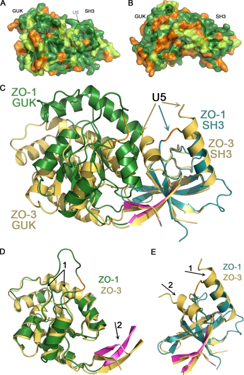 FIGURE 6.