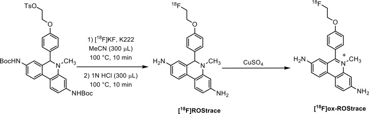 Scheme 2