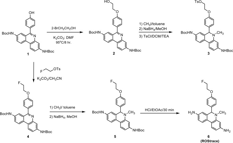 Scheme 1