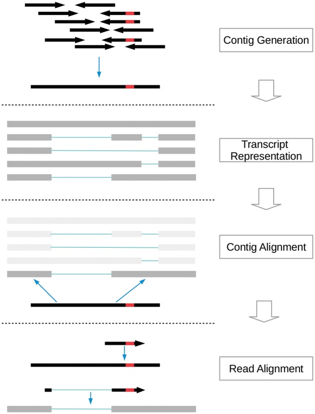 Fig. 1.