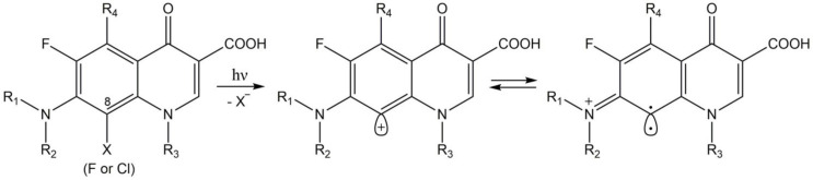 Figure 8