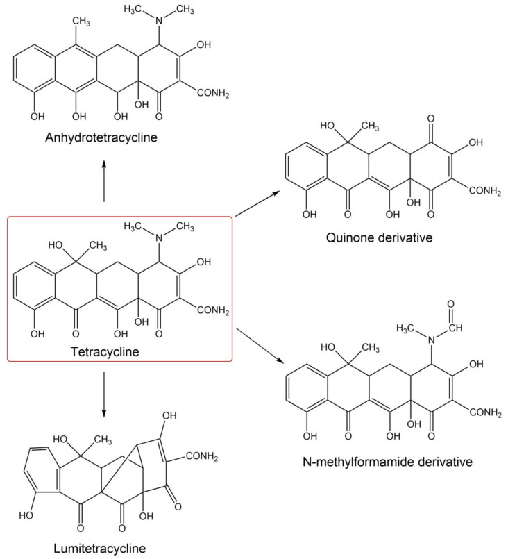 Figure 9