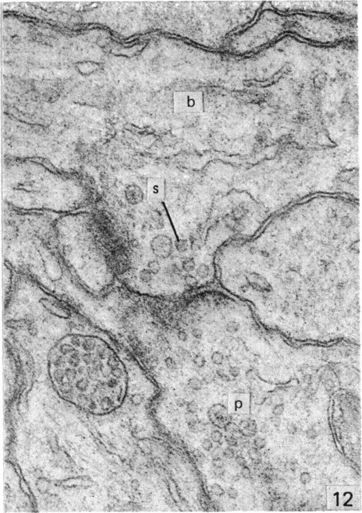 Fig. 12