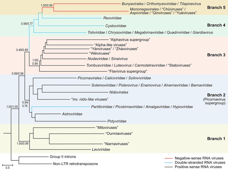 FIG 1