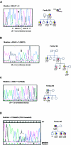 Figure  1