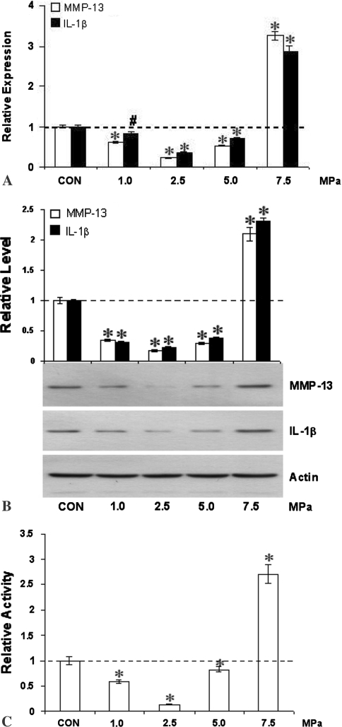 Fig. 3A–C