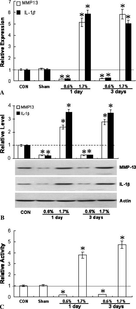 Fig. 2A–C